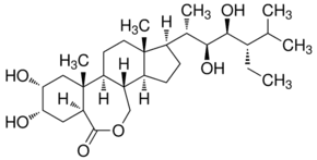 22(S),23(S)-Homobrassinolide