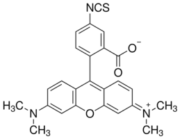 Tetramethylrhodamine-5-isothiocyanate