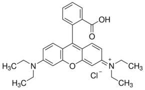 Rhodamine B