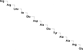 Arg-Arg-Leu-Ile-Glu-Asp-Ala-Glu-Tyr-Ala-Ala-Arg-Gly