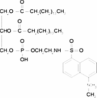 L-α-Phosphatidylethanolamine, dipalmitoyl, N-dansyl