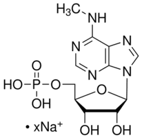 N6-Methyladenosine 5′-monophosphate sodium salt