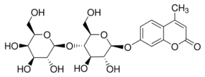 4-Methylumbelliferyl β-D-lactopyranoside