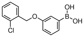 3-(2-Chlorobenzyloxy)phenylboronic acid