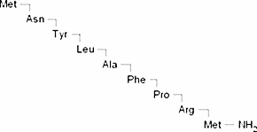 Small Cardioactive Peptide B