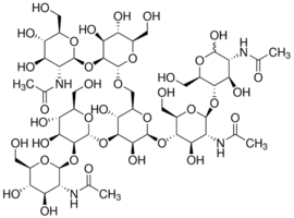 NGA2 Glycan