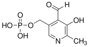 Pyridoxal 5′-phosphate hydrate