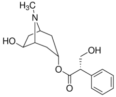 (+/-)-Anisodamine