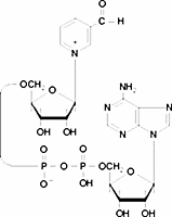 3-Pyridinealdehyde adenine dinucleotide