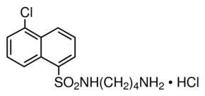 W-13
