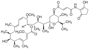 Bafilomycin B1 from Streptomyces sp.