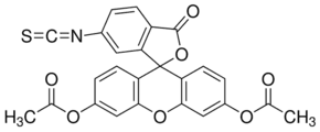 Fluorescein diacetate 6-isothiocyanate