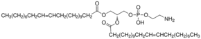 1,2-Dierucoyl-sn-glycero-3-phosphoethanolamine