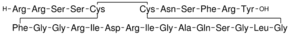 Atrial Natriuretic Peptide fragment 3-28 rat
