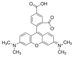 5-Carboxytetramethylrhodamine