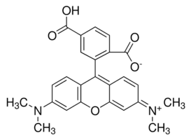 6-Carboxytetramethylrhodamine