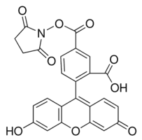 5-Carboxyfluorescein N-succinimidyl ester
