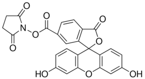6-Carboxyfluorescein N-hydroxysuccinimide ester