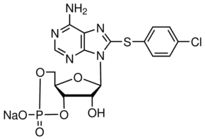 8-(4-Chlorophenylthio)adenosine 3′,5′-cyclic monophosphate sodium salt
