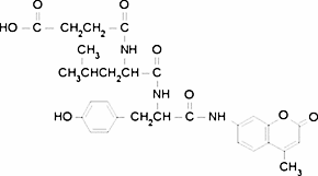 N-Succinyl-Leu-Tyr-7-amido-4-methylcoumarin