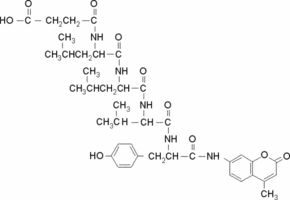 N-Succinyl-Leu-Leu-Val-Tyr-7-Amido-4-Methylcoumarin