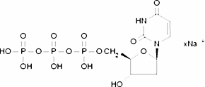 2′-Deoxyuridine 5′-triphosphate sodium salt solution