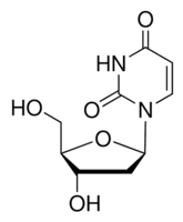 2′-Deoxyuridine