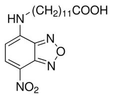 12-(7-Nitrobenzofurazan-4-ylamino)dodecanoic acid