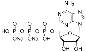 Adenosine 5′-triphosphate disodium salt solution