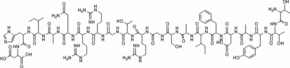 Protein Kinase Inhibitor from rabbit
