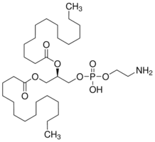 1,2-Dimyristoyl-sn-glycero-3-phosphoethanolamine
