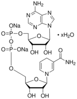 β-Nicotinamide adenine dinucleotide, reduced disodium salt hydrate